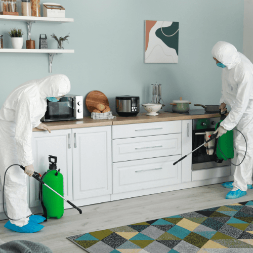 Technicien équipé pour intervention anti-nuisibles